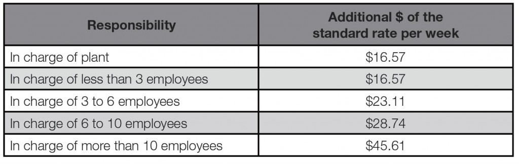 Responsibility-chart